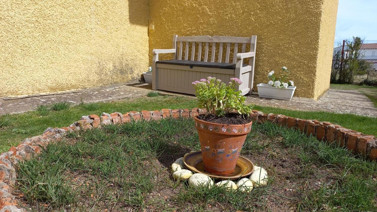 Casa Rural Alameda Con Chimenea Y Jardin El Barco de Ávila Eksteriør billede